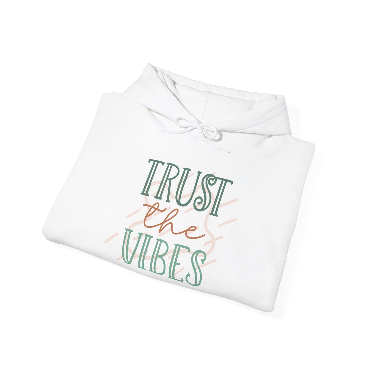 Trust the Vibes Hoodie